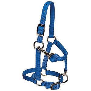 Weaver Nylon Miniature Horse Halter - Blue