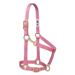 Weaver Nylon Miniature Horse Halter - Pink