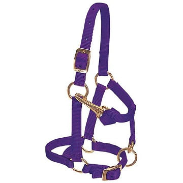 Weaver-Nylon-Miniature-Horse-Halter---Purple-28871