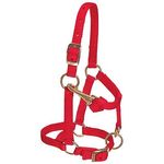 Weaver-Nylon-Miniature-Horse-Halter---Red-195042
