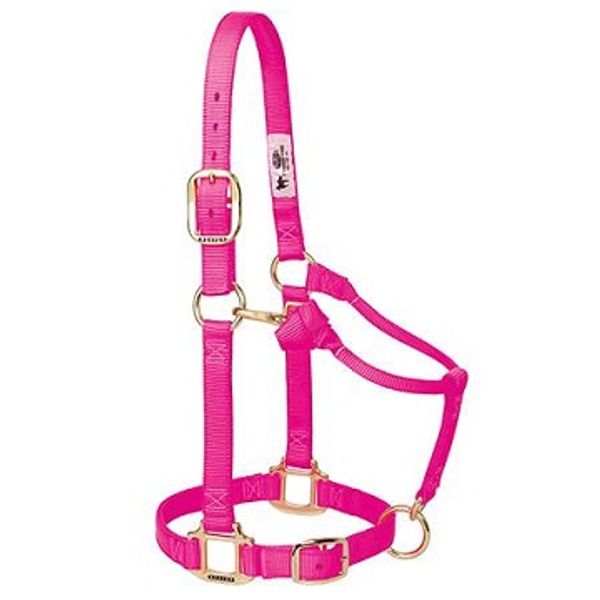 Pink Diva Collar and Lead Set