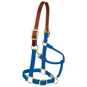 Weaver Original Adjustable Breakaway Halter - Blue