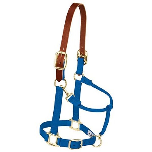 HDR Fancy Padded Leather Halter - Havana