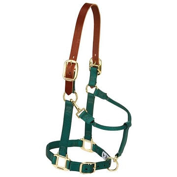 Premium Leather & Track Halters - Weaver Equine