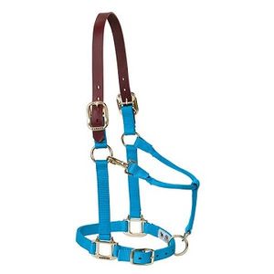 Weaver Original Adjustable Breakaway Halter - Hurricane