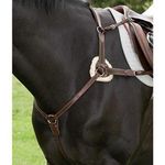 HDR-Pro-5-Point-Breastplate-168901