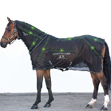 Rambo-Sportz-Vibe-ZX-Therapeutic-Horse-Rug-44813
