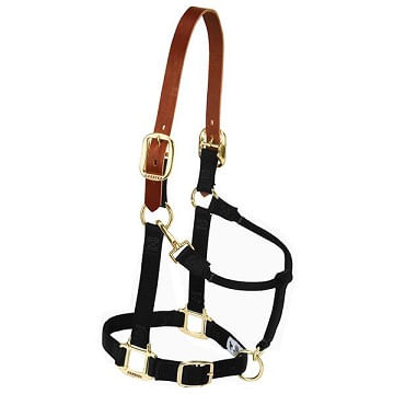 Weaver Original Adjustable Breakaway Halter - Black