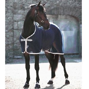 Amigo Net Cooler - Navy/Silver