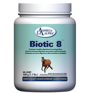 Digestion & Gut Health Supplement – Omega Alpha Biotic 8