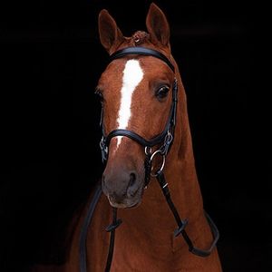 Rambo Micklem Competition Bridle w/ Reins - Black