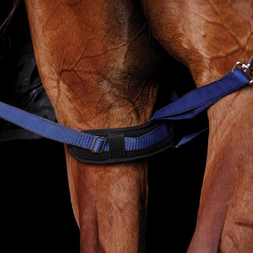 Weatherbeeta-Padded-Elastic-Leg-Straps-83076