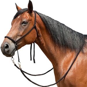 Soft Poly Western Bitless Bridle - Black