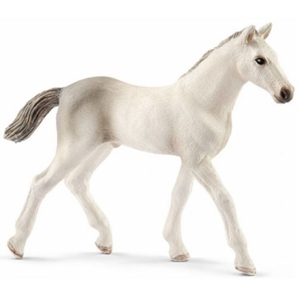 Schleich Rocky Mountain Horse Mostra Cavalli 42469 