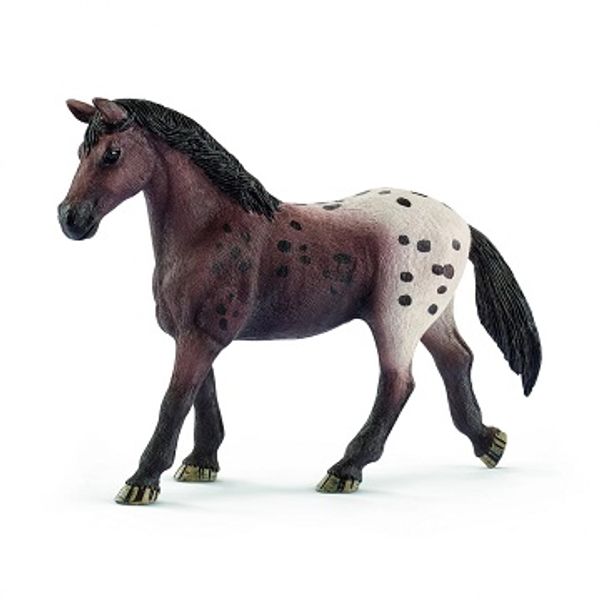 Schleich Rocky Mountain Horse Mostra Cavalli 42469 