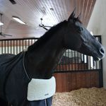 Equifit-Blanket-Bib-64080