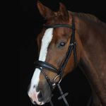 Collegiate-Mono-Crown-Padded-Raised-Flash-Bridle---Black-9810