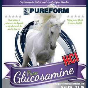 Joint Supplement – Pureform Glucosamine Hydrochloride