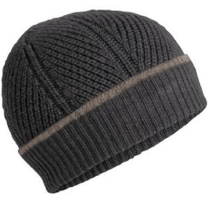 Icebreaker Unisex Waypoint Beanie - Charcoal Heather