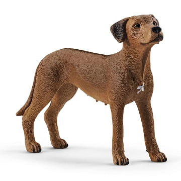 Schleich-Rhodesian-Ridgeback-242068