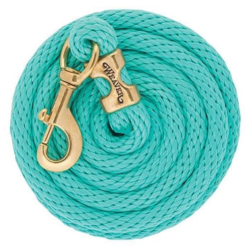 Weaver-Poly-Lead-Rope-with-Solid-Brass-Snap---Mint-209024