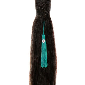 Tail-Tassels---I-m-for-lease--210377