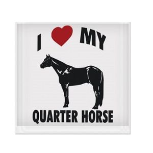 I Love My Quarter Horse Vinyl Sticker