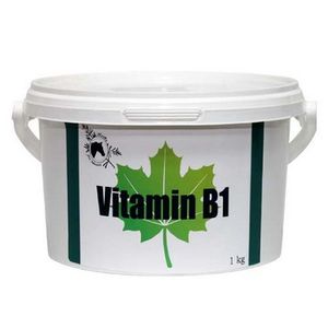 Overall Health Supplement - Herbs for Horses Thiamine - Vitamin B1