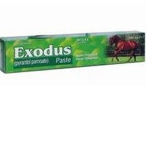 Exodus Dewormer (Tube without a box) (Equine use only)