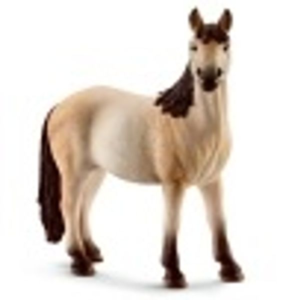 schleich knabstrupper stallion