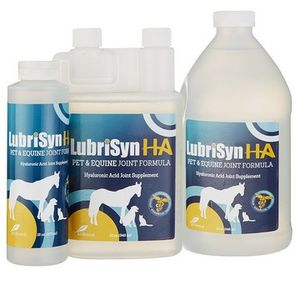 Joint Supplement – LubriSyn HA Joint Formula