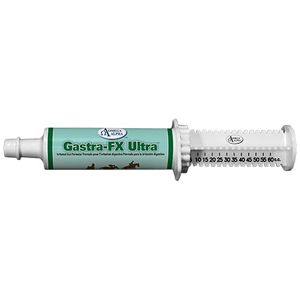 Digestion & Gut Health Supplement – Omega Alpha Gastra-FX Ultra
