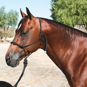 Professional's Choice Clinician Rope Halter