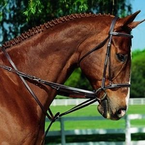 Contender German Martingale