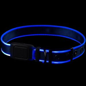 Nite Ize NiteDog Rechargeable LED Collar - Blue/Blue LED