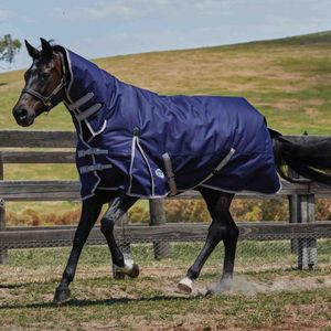 Weatherbeeta ComFiTec Essential Combo Neck Midweight Turnout Blanket