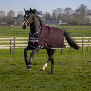 Amigo Hero 600D Ripstop 50g Turnout Blanket - Fig