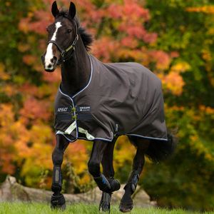 Amigo Bravo 12 Original 100g Turnout Blanket - Excalibur