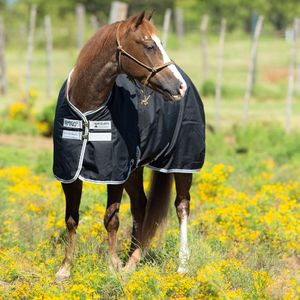 Amigo Stock Horse 200g Turnout Blanket