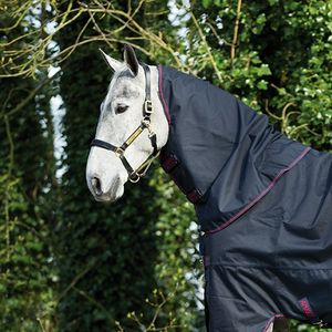 Amigo Bravo 12 XL Rain Sheet Hood - Navy/Navy/Red