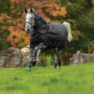 Amigo Bravo 12 Reflectech Plus 250g Turnout Blanket