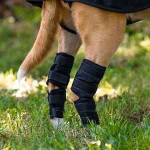 Back on Track Dog Hock Brace - Black