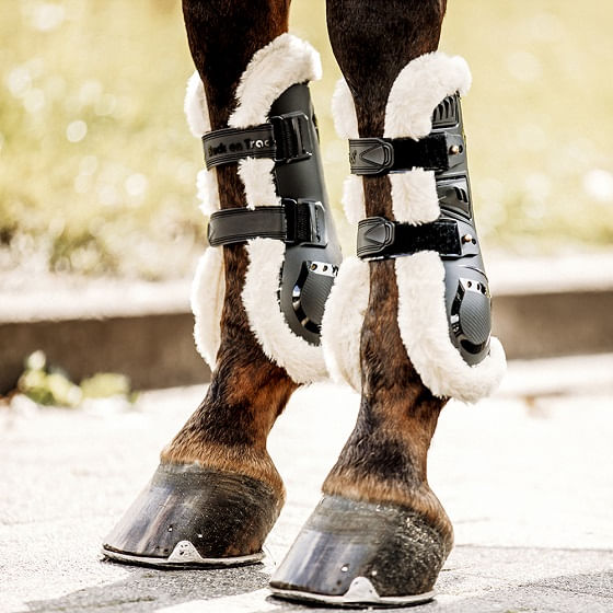 Schockemohle hot sale tendon boots