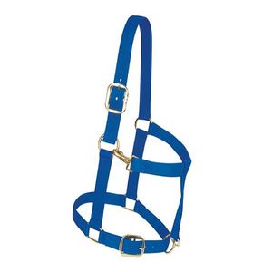 Weaver 1.5" Nylon Adjustable Draft Horse Halter - Blue