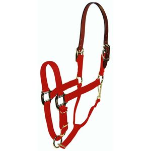 Hamilton 1" Reflective Breakaway Nylon Halter with Adjustable Chin and Snap at Throat - Orange