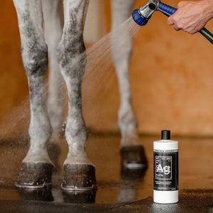 Equifit AgSilver Maximum Strength CleanWash