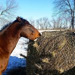 handy-hay-nets-large-round-bale-bag