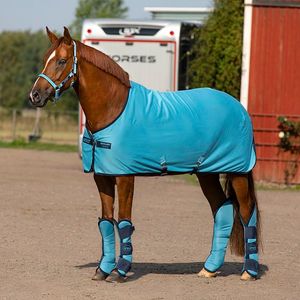 Amigo Jersey Cooler - Delphinium Blue/Navy