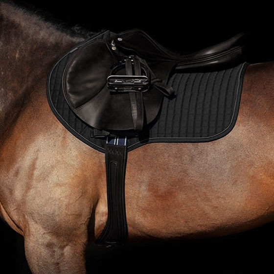 RAMBOGIRTH