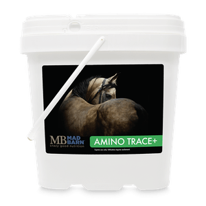 Vitamins & Minerals Supplement – Mad Barn AminoTrace+ Pellet
